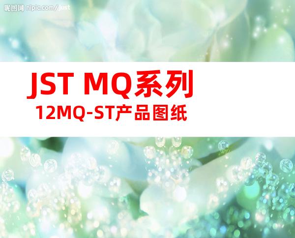 JST MQ系列 12MQ-ST产品图纸